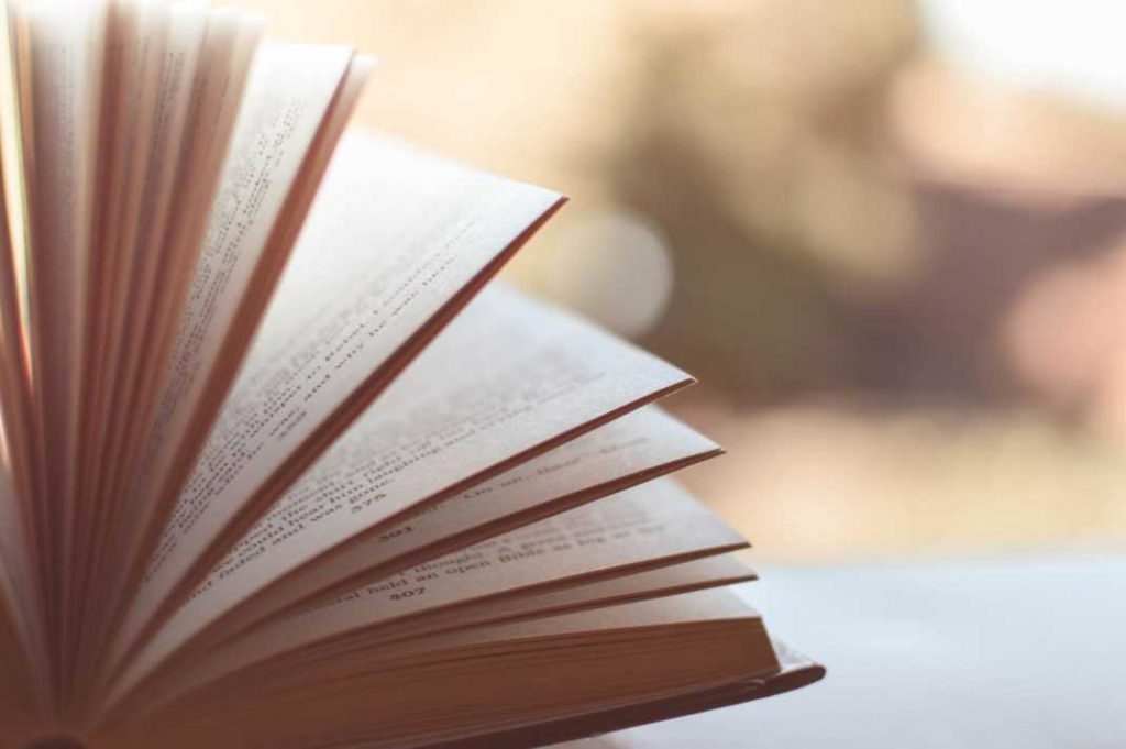 book-livro